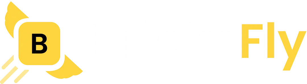 BricksFly