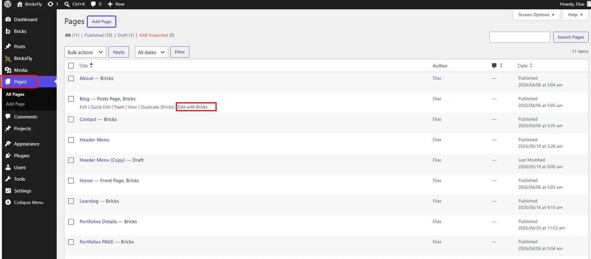BricksBuilder in Editor panel 