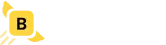 Bricksfly logo