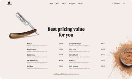 Pricing